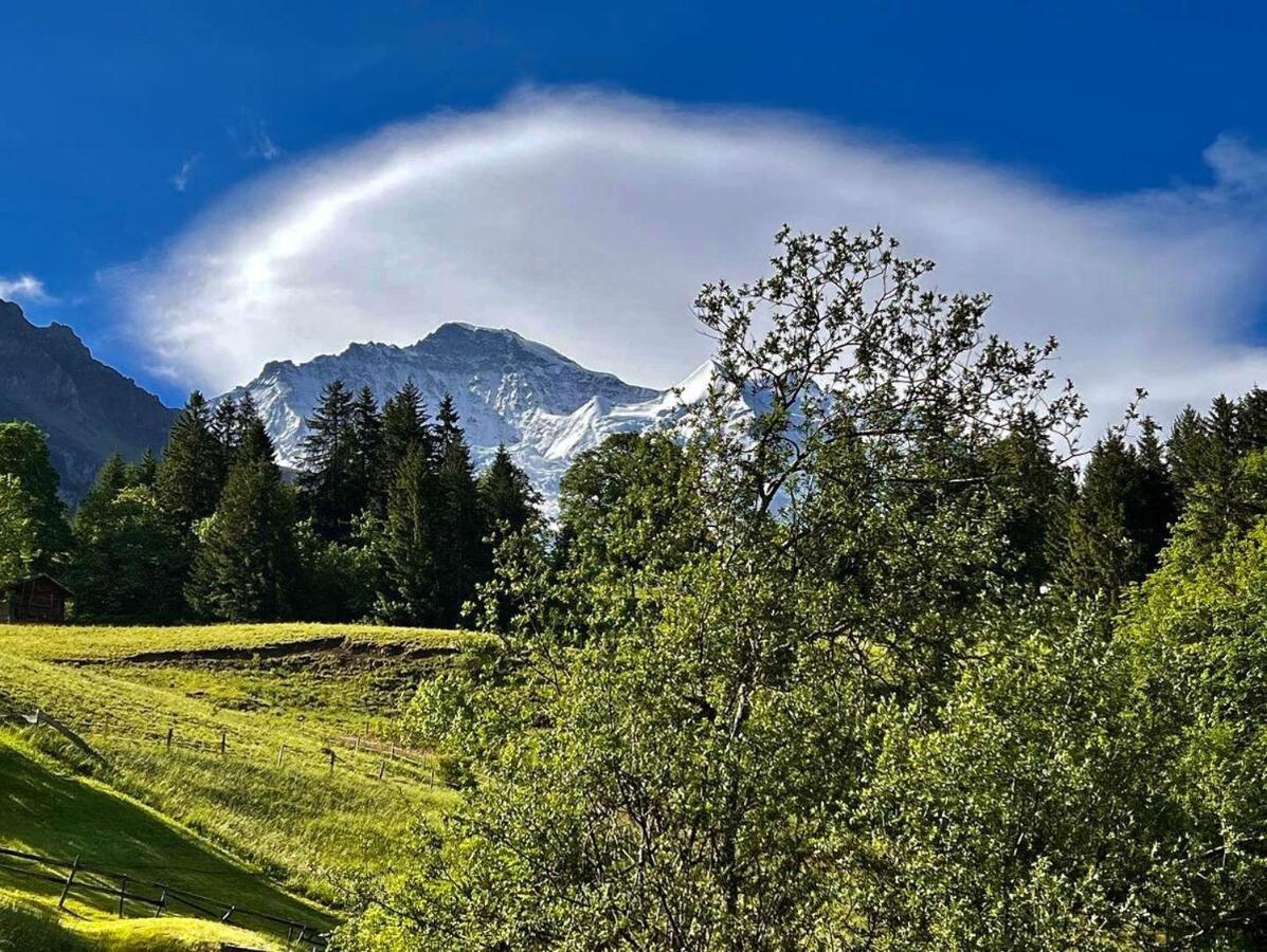Chalet Viola Wengen Ngoại thất bức ảnh