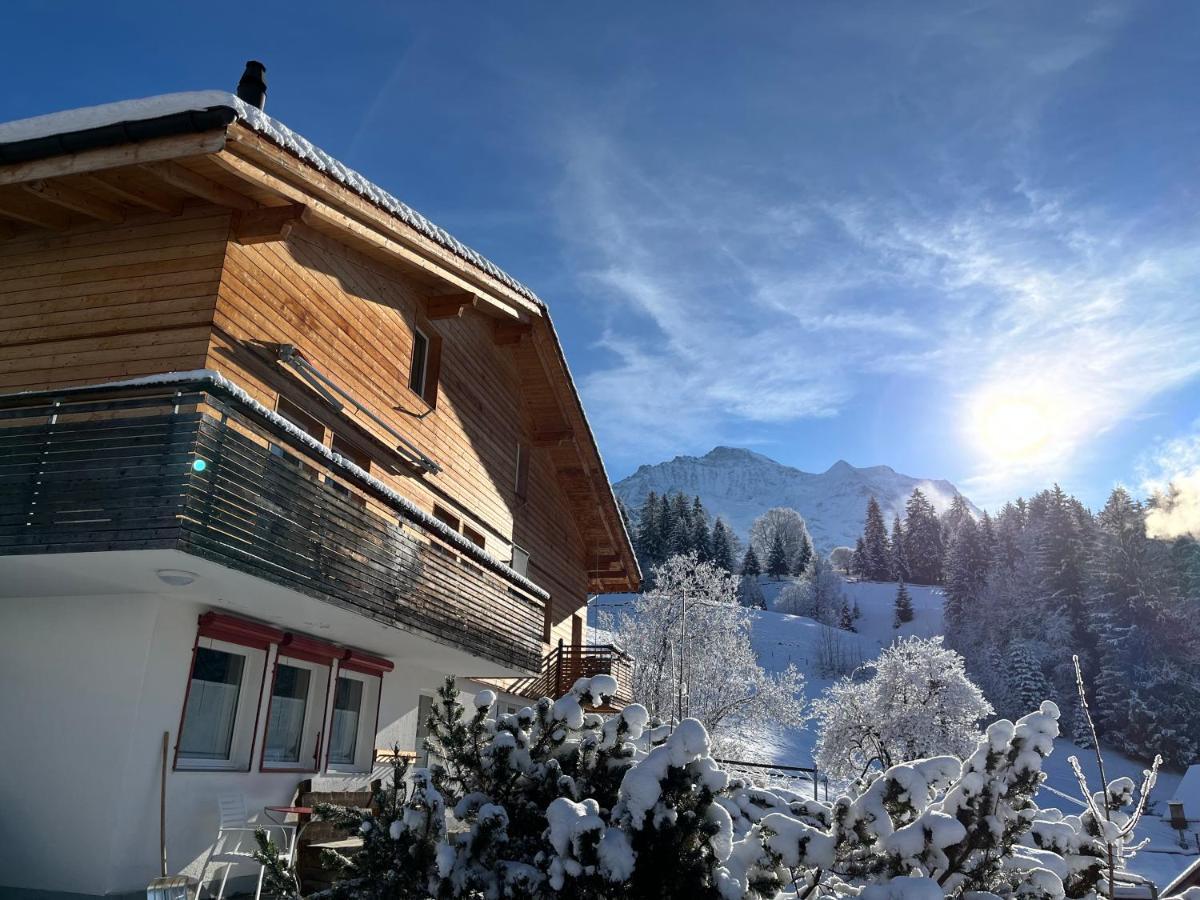 Chalet Viola Wengen Ngoại thất bức ảnh