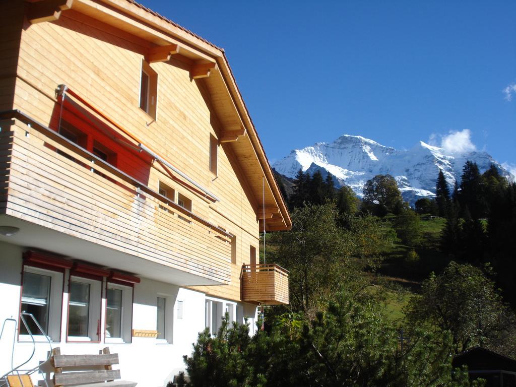 Chalet Viola Wengen Ngoại thất bức ảnh